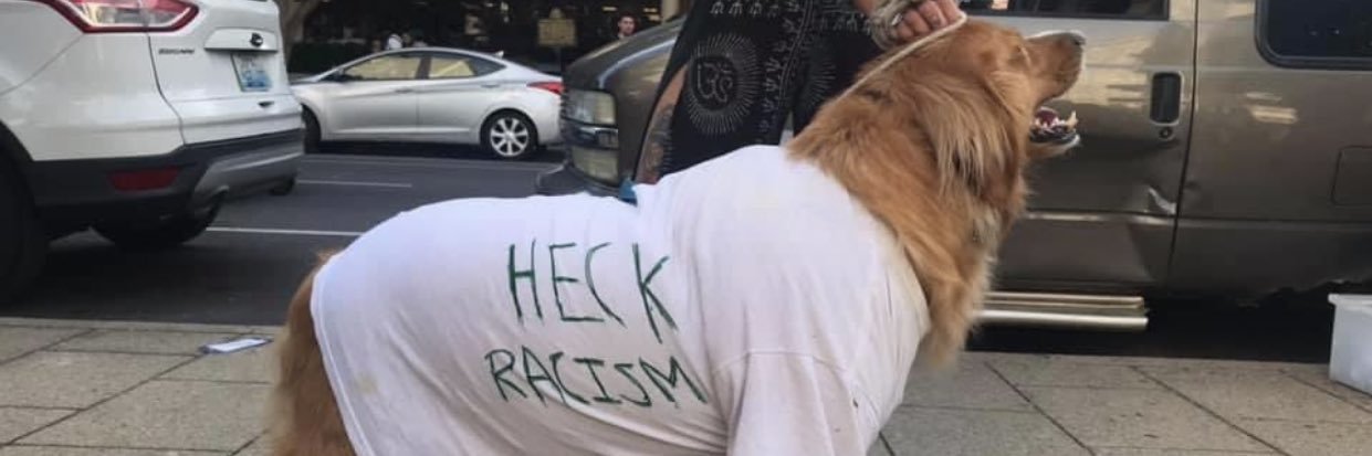 hanrich19's profile banner image