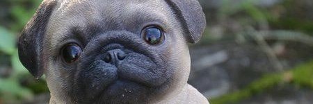 abriggs1221's profile banner image