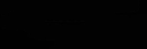 Porter_Rooks Profile Banner