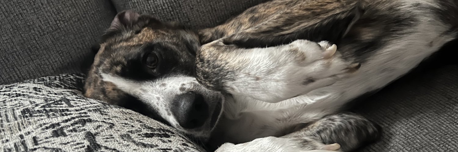 Willis™️ banner