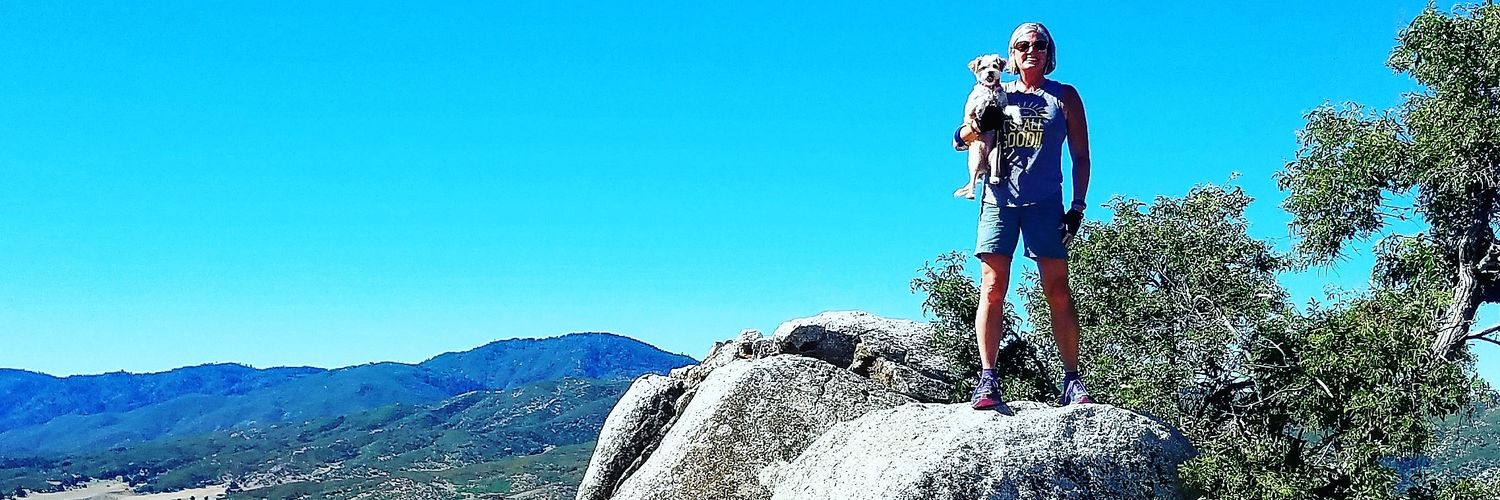 catsi1's profile banner image