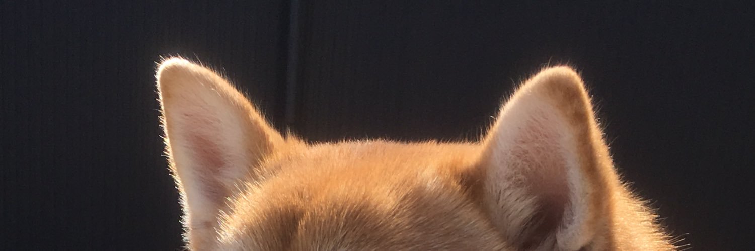 ritomasu__'s profile banner image