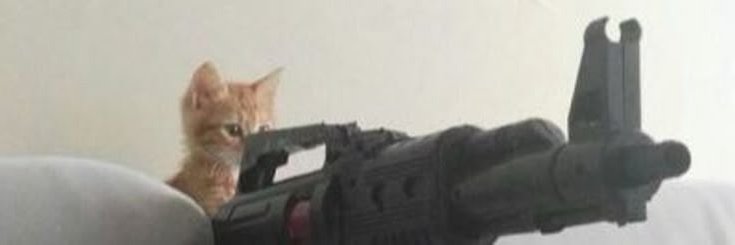 almaryys's profile banner image