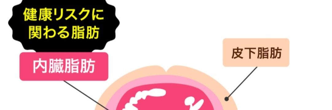 はすみん👺医療の闇のお話😇 banner