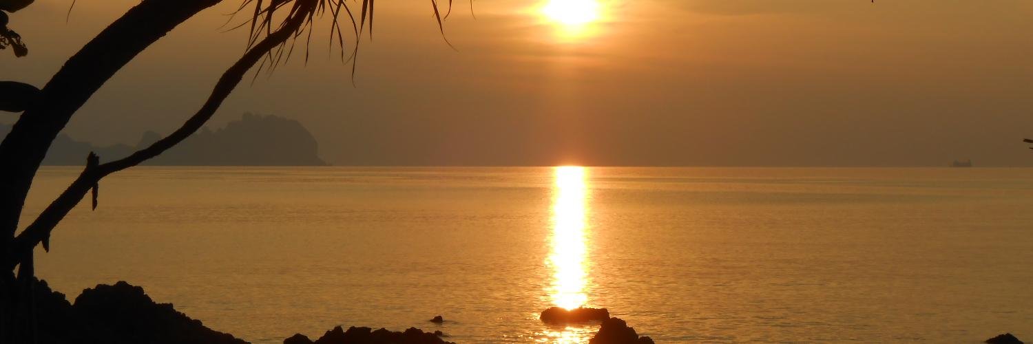 tmdruskin's profile banner image