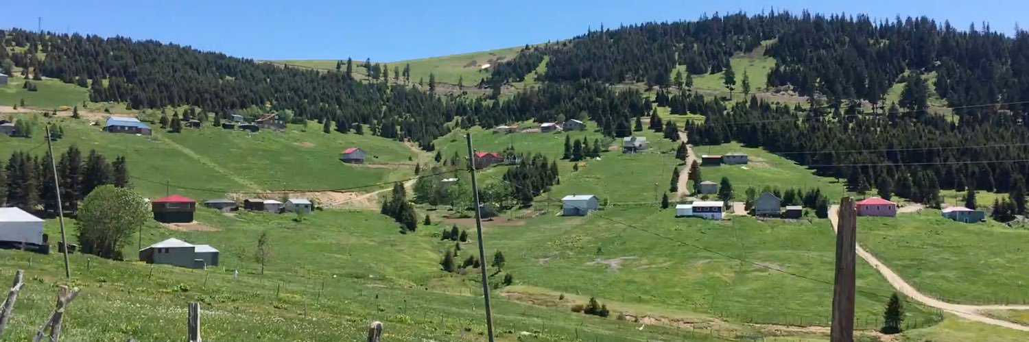ALİ YİĞİT banner