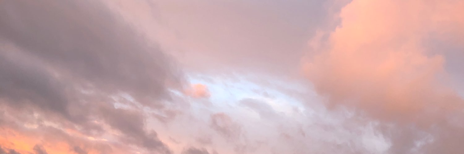 danihool's profile banner image