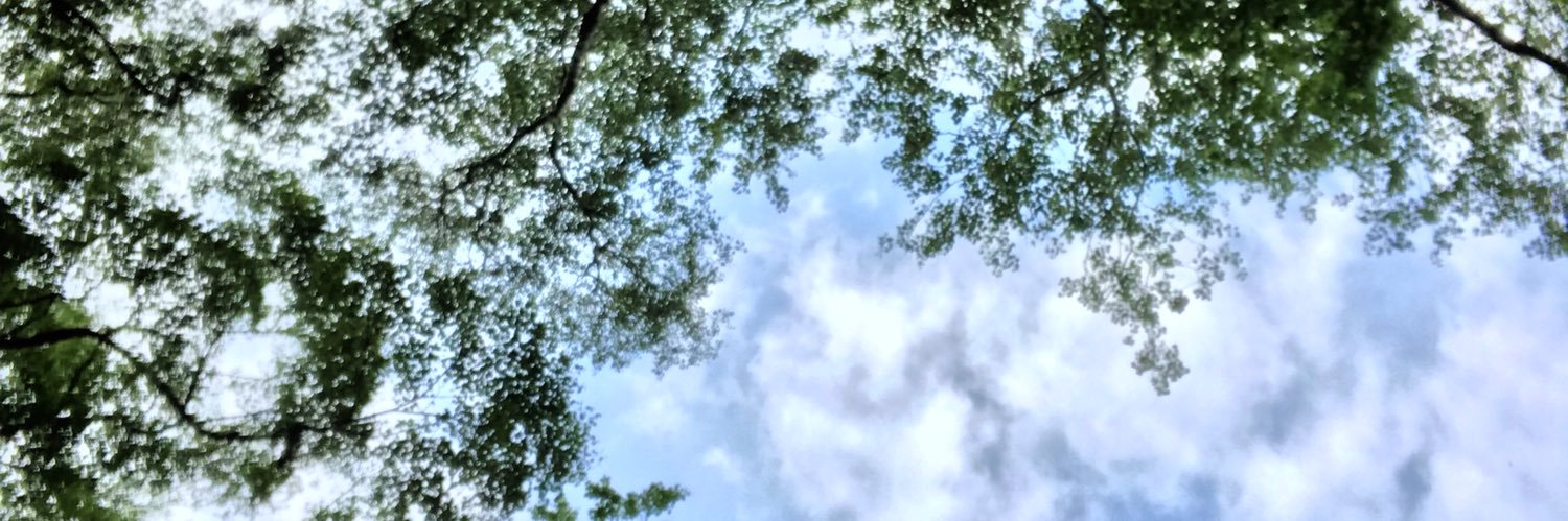 JackiRosendale's profile banner image
