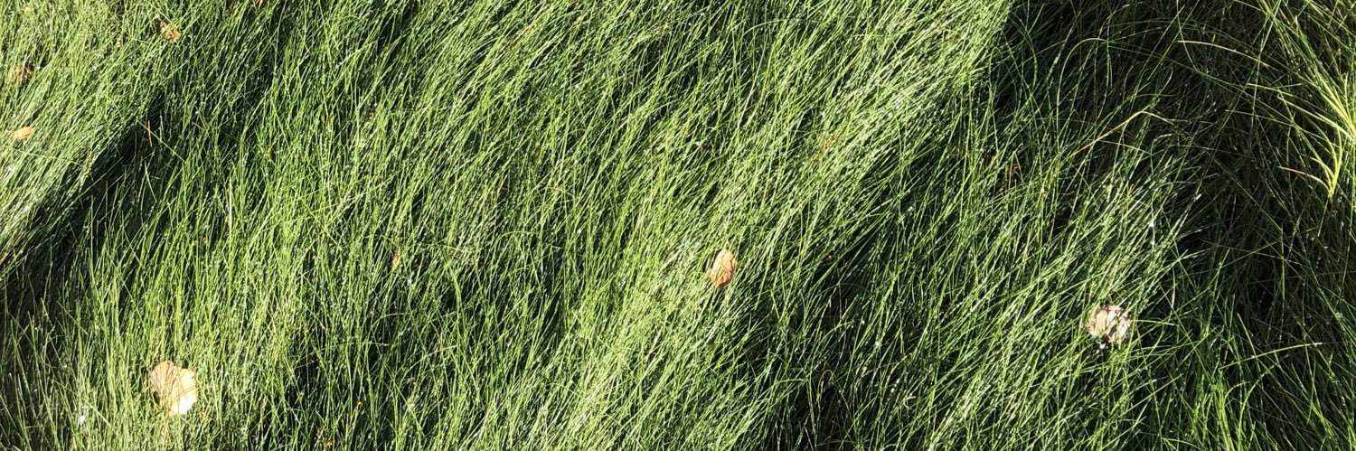 ittatric's profile banner image