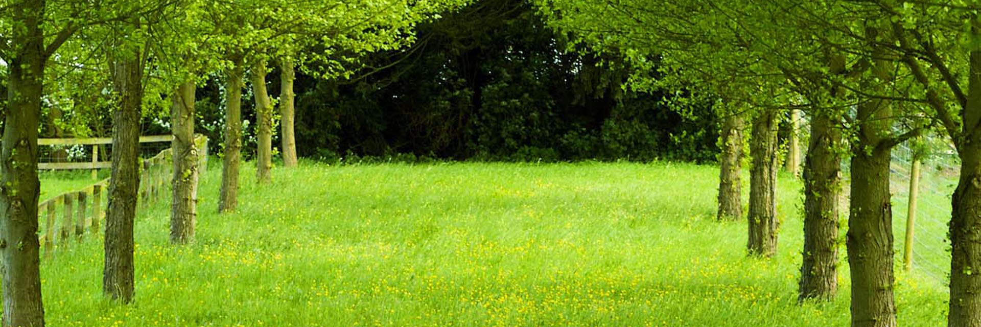 mrepid's profile banner image