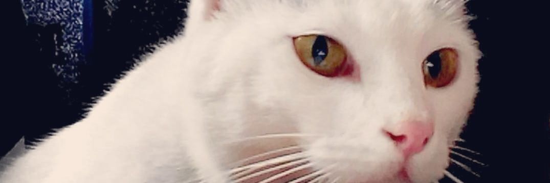 martiinb__'s profile banner image