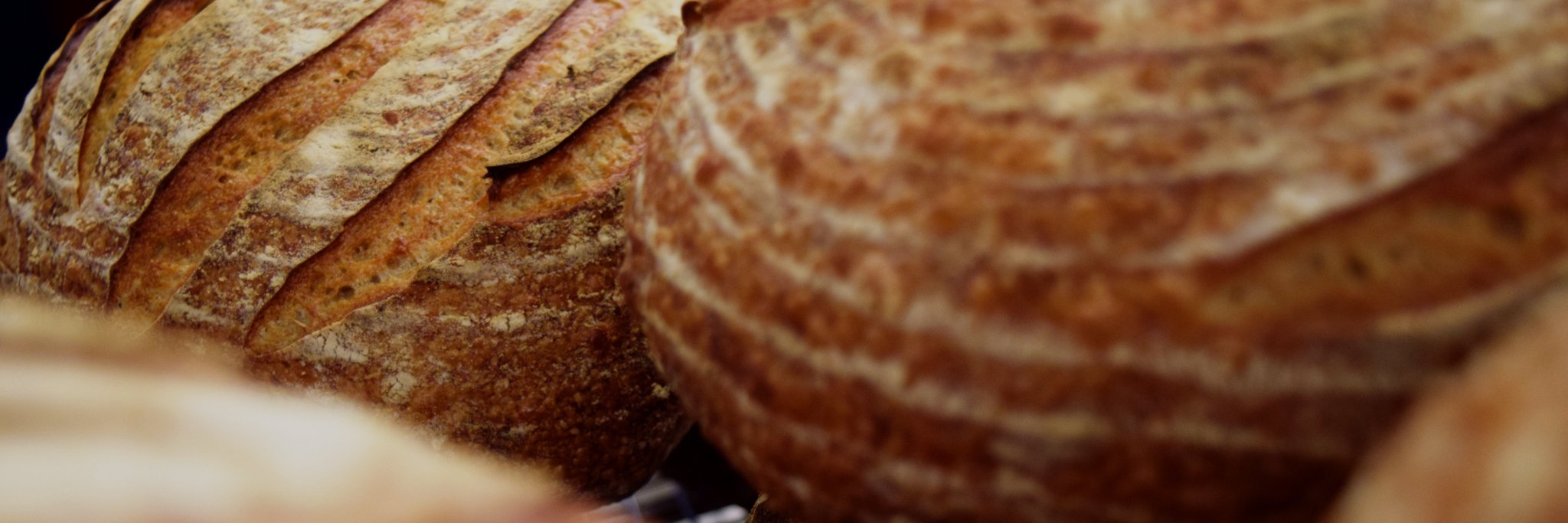 GrainExchangeAB's profile banner image
