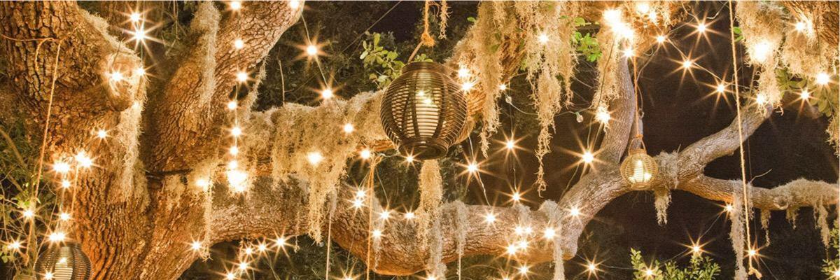 HalfHank's profile banner image