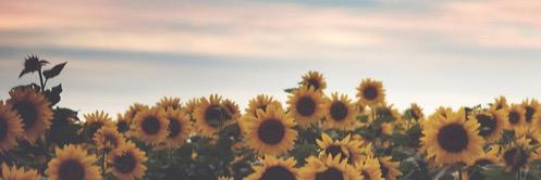 Daniela_277's profile banner image