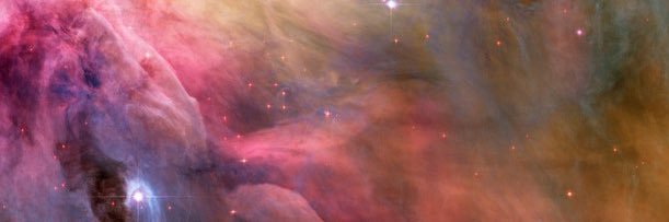 Kiwie ☾ banner