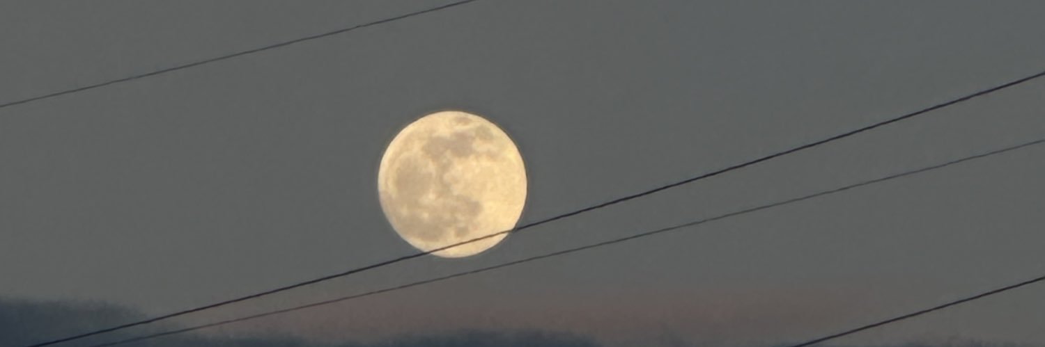vwoolney's profile banner image