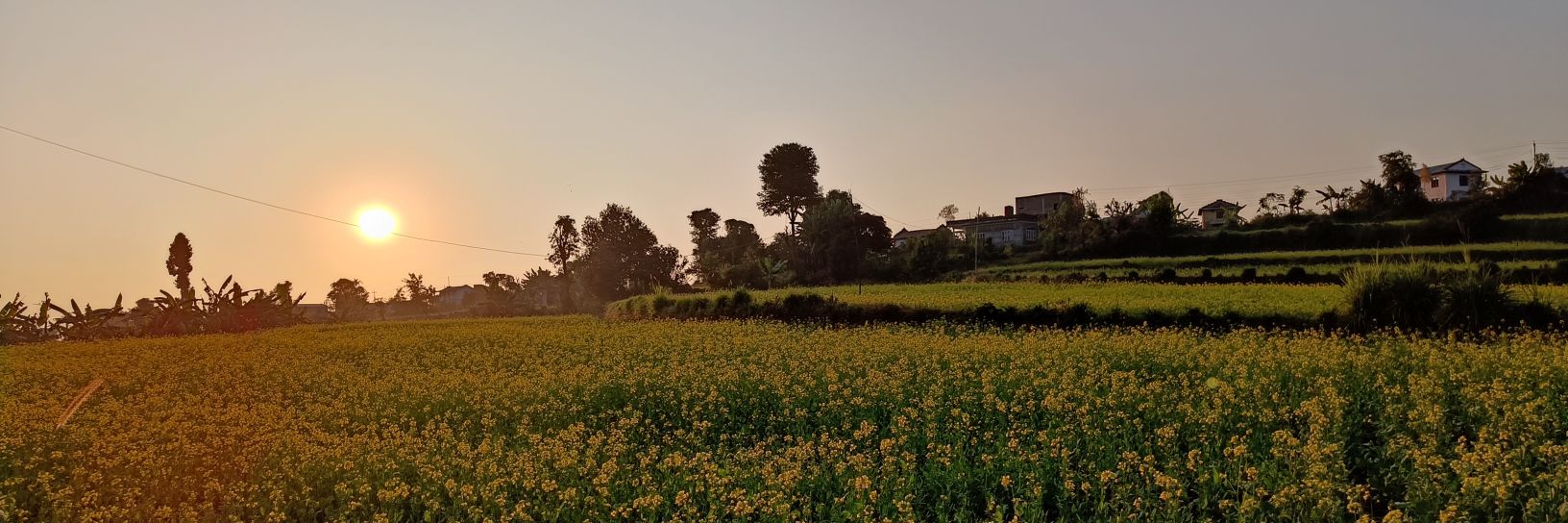 Prabhat Bhandari banner