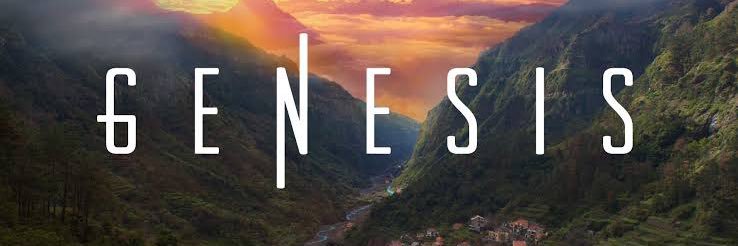 nealvcnt's profile banner image