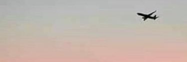 Apple Pie banner