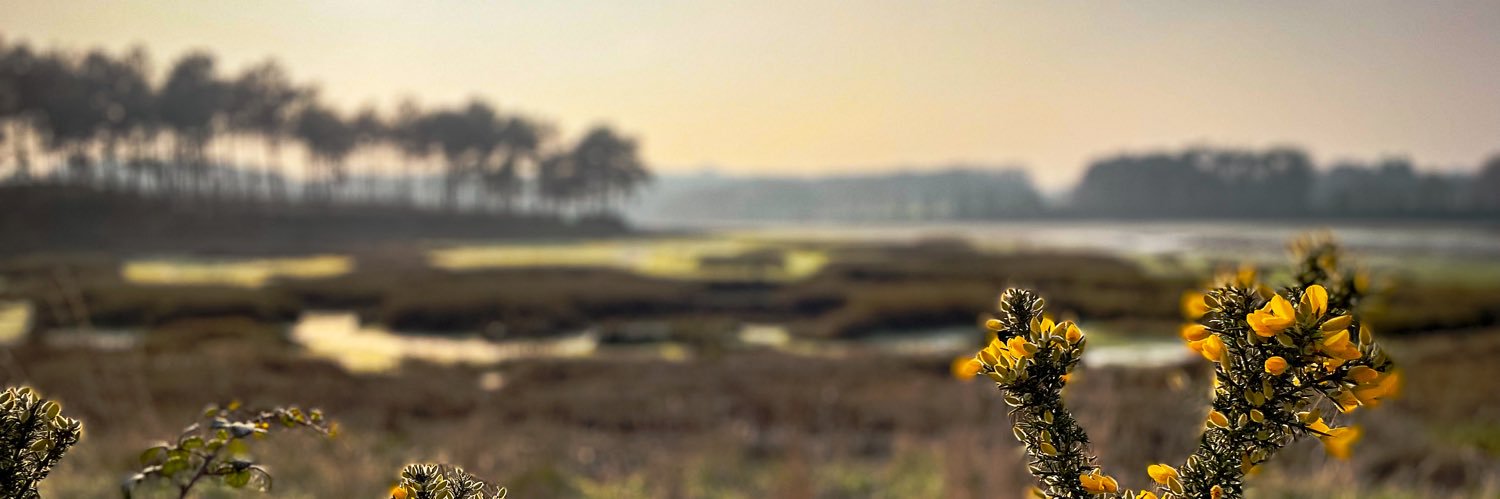 ThepautG's profile banner image