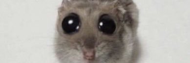agueriitto's profile banner image