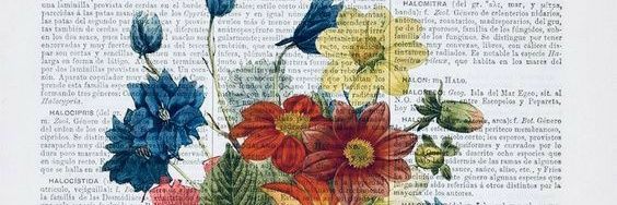 florpeluso1's profile banner image