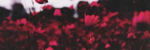 LodoGiulia's profile banner image