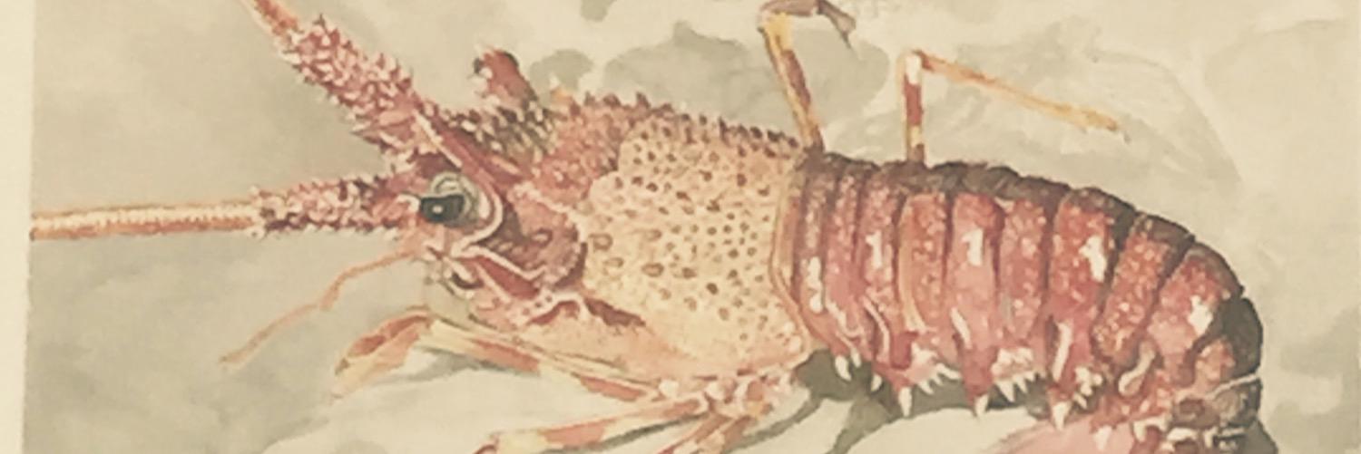 davitindiaz's profile banner image