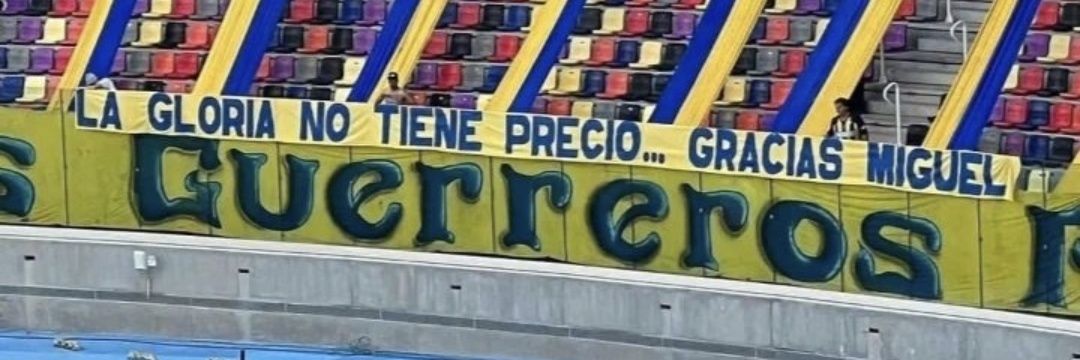 ᴄᴀᴍi✨🇺🇦 banner