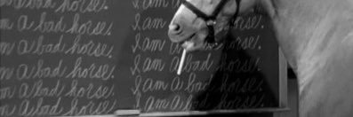 🐁 🐸 🫧 banner