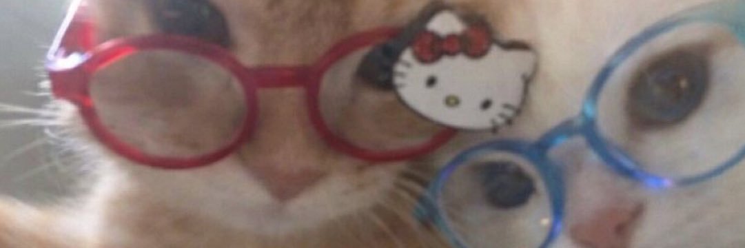 isachavoo's profile banner image