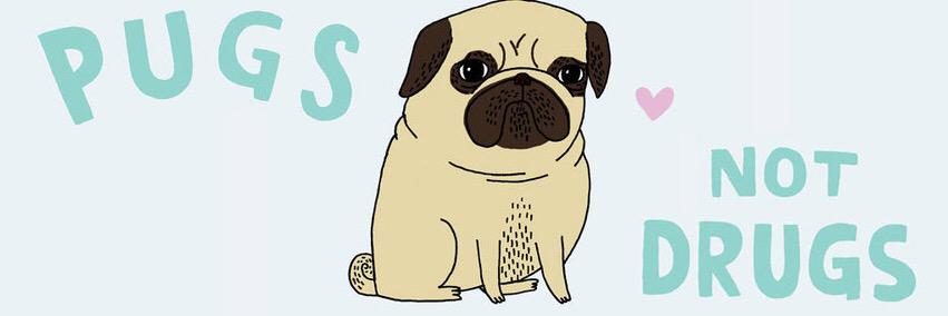 platothepug's profile banner image