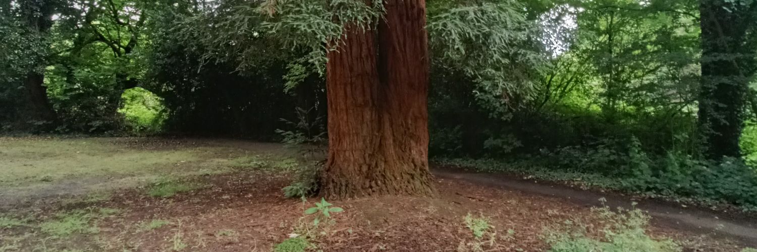 micksmolo's profile banner image