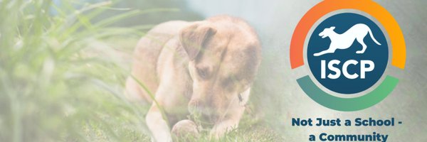 The_ISCP Profile Banner