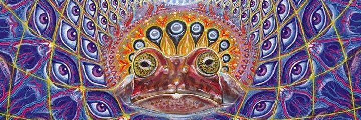 RohanOnX's profile banner image