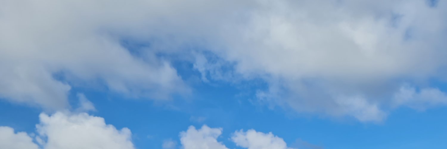 sagingco's profile banner image