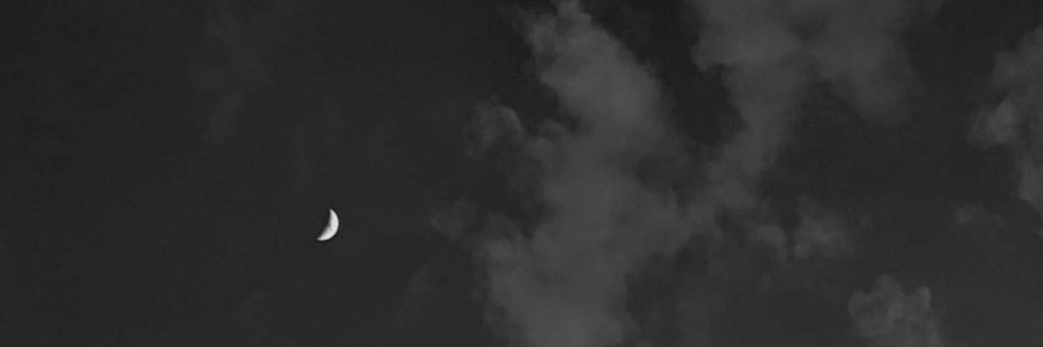 Al_3s3's profile banner image