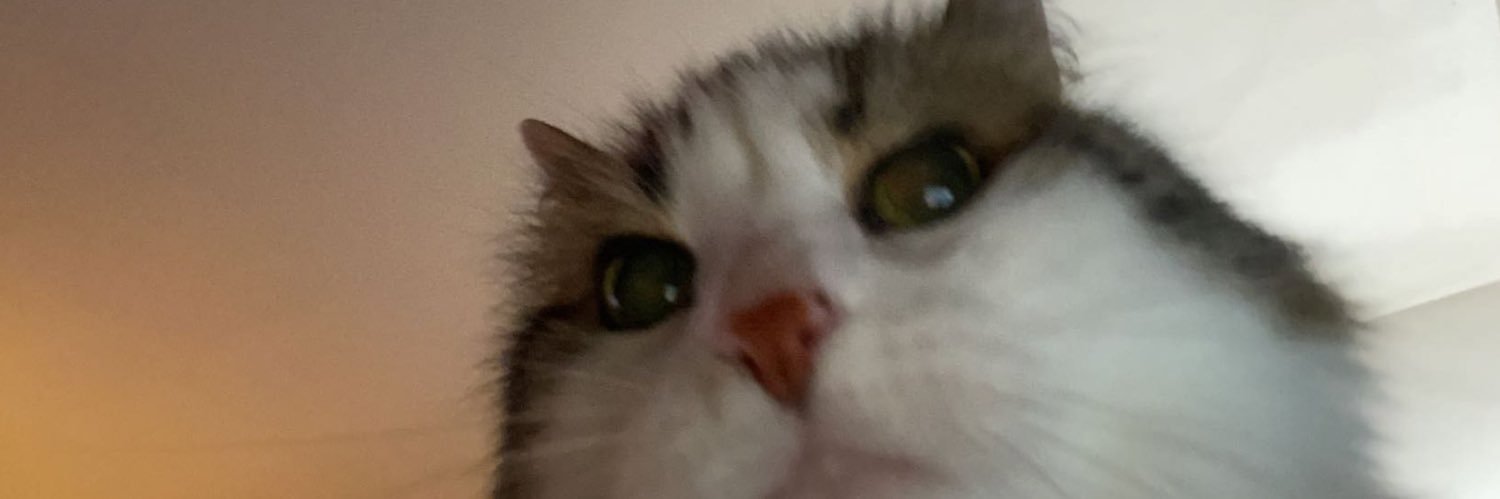 daphnetexier's profile banner image