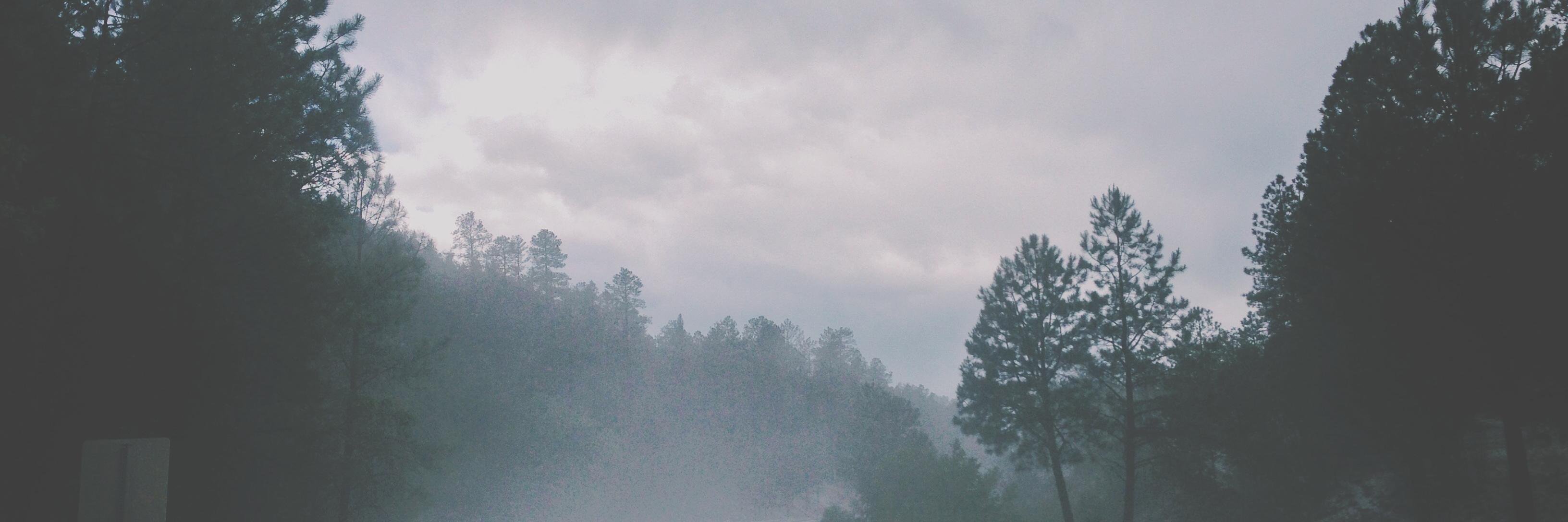 Nordophile's profile banner image