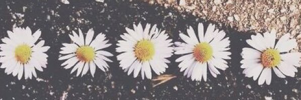 a_bun1's profile banner image