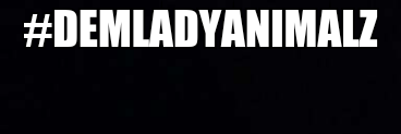DemLadyAnimalz's profile banner image