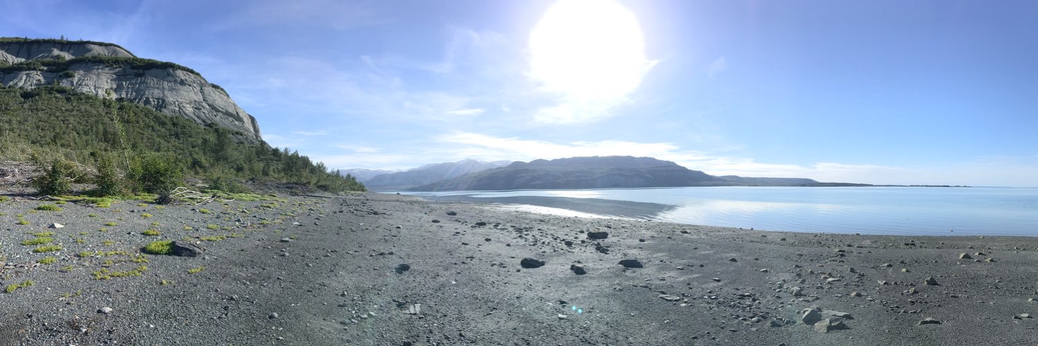 Dr. Robert Weiss banner