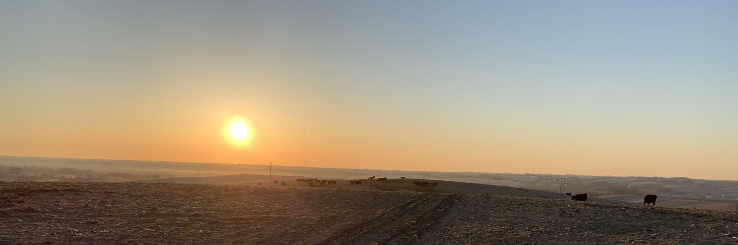 billybobstexss's profile banner image