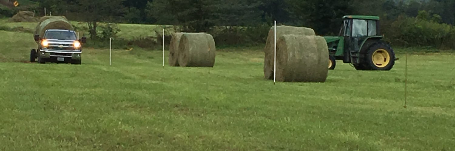 Travis Watson banner