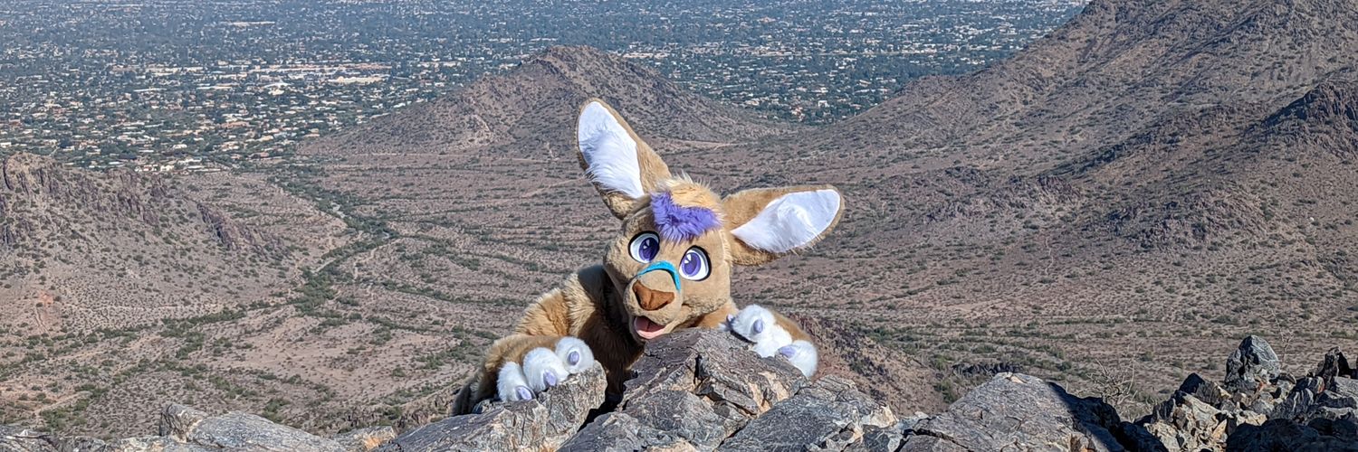 🩹☀️🌵Bandaid Roo!🌵☀️🩹➡️Megaplex, BFC's banner
