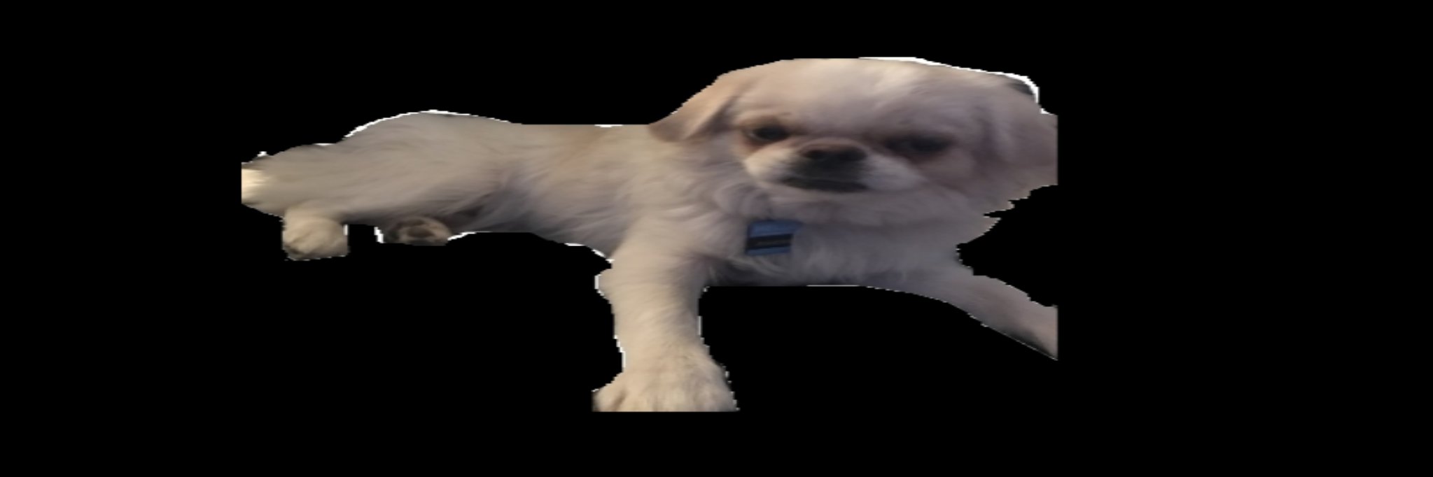 Peketzulol's profile banner image