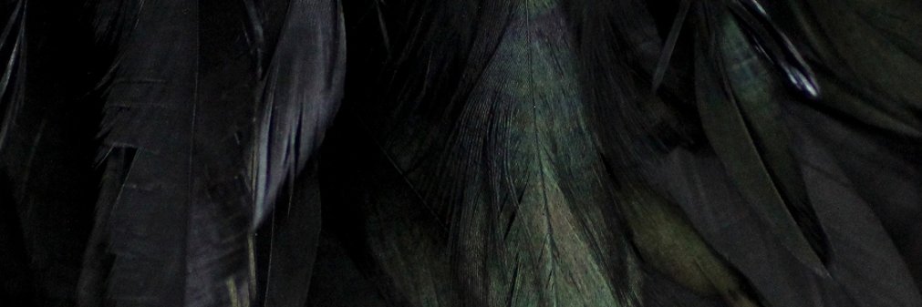 kohrVid's profile banner image