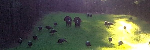 BenScurry77 Profile Banner