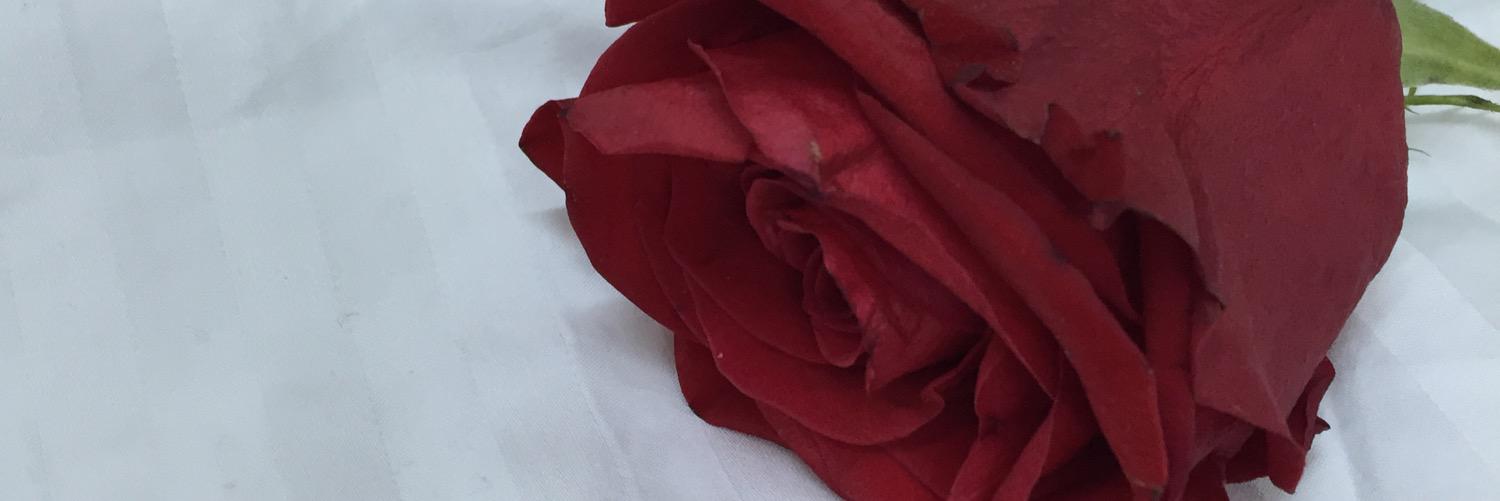 أ . فاطمة عويد العنزي banner