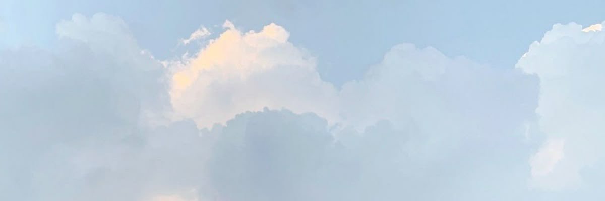 bregettelee's profile banner image